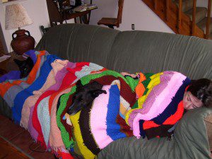 pups late March 2008 010