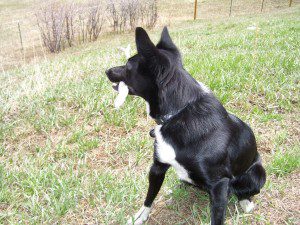 photos from April 28, 2008 008