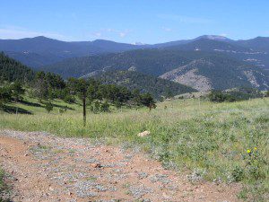 View toward continental divide from cone meadow June 29, 2008