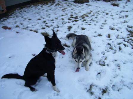 Kenai (2) Dec 12, 2008
