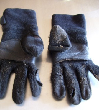 Dog gloves ratty