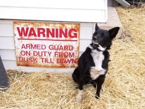 guard dog sign