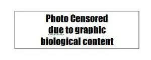 technicolor vomit photo censored