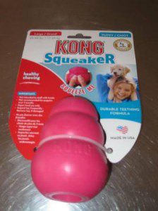 dog product review, kong squeaker, champion of my heart, dog blog