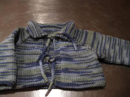 knitting, baby sweater, champion of my heart, dog blog