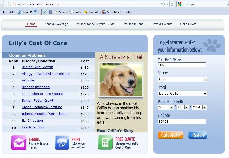 Pet Care Cost Calculator