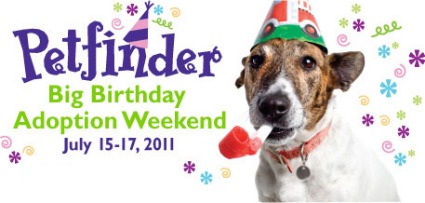 best dog blog champion of my heart petfinder birthday bash