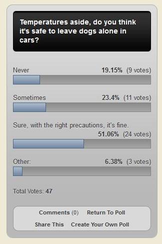 best dog blog champion of my heart dog blog poll about dogs left alone in cars
