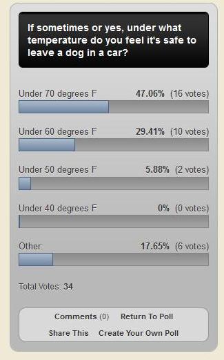 best dog blog champion of my heart dog blog poll about dogs left alone in cars