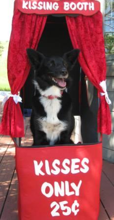 kissing booth dog champion of my heart best dog blog