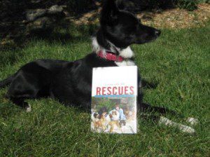 best dog blog, champion of my heart, photo of Lilly with the book ... Living With the Rescues