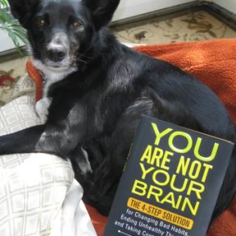 best dog blog, champion of my heart, photo of dog with book