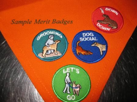 best dog blog, champion of my heart, good dogs of america merit badge close-up photo