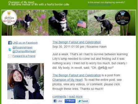 best dog blog, champion of my heart, new email layout