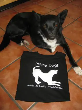best dog blog, champion of my heart, praise dog t-shirt