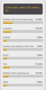 best dog blog, champion of my heart, dog blog poll results screen
