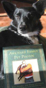 best dog blog, champion of my heart, border collie with copy of awkward family pet photos