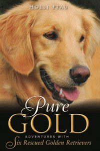 best dog blog, champion of my heart, pure gold book cover