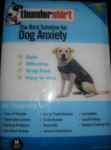 best dog blog, champion of my heart, ThunderShirt