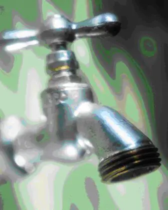best dog blog, champion of my heart, picture of a faucet