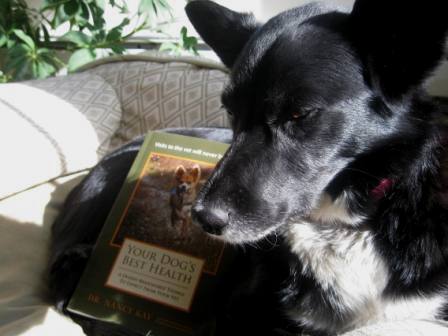 best dog blog, champion of my heart, your dog's best health book cover