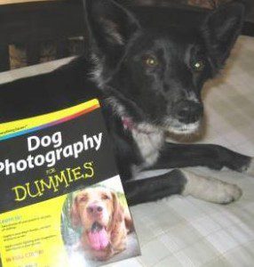 best dog blog, champion of my heart, Dog photography for Dummies book review