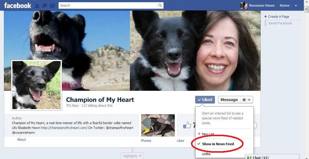 best dog blog, champion of my heart, facebook fan page