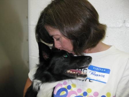 best dog blog, champion of my heart, border collie cuddling