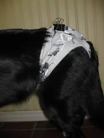 incontinent dogs diaper options