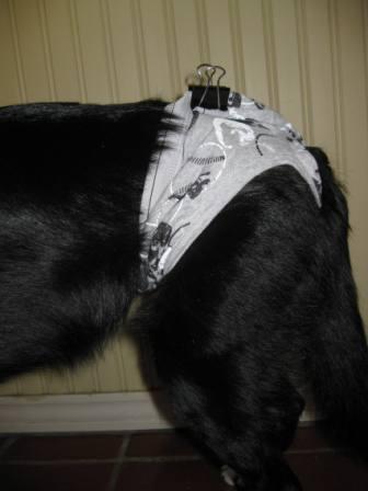 Makeshift diaper best sale for dog