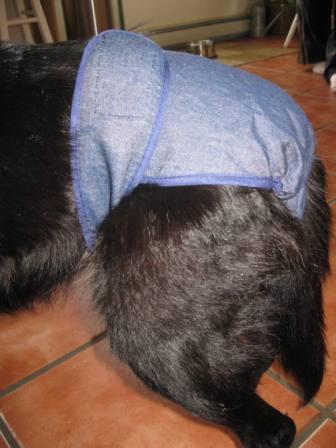 Denim dog outlet diaper