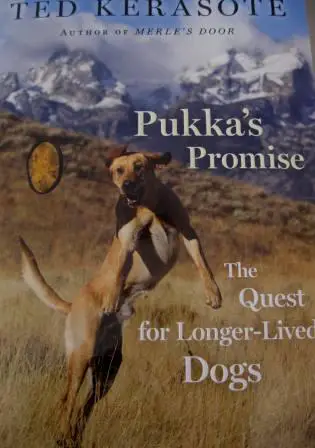 book review, pukka's promise