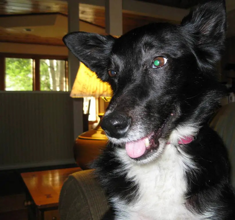 larger ~ post-chemo smile 8-14-13 a