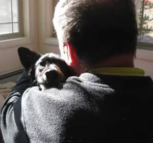 border collie hugging her human daddy