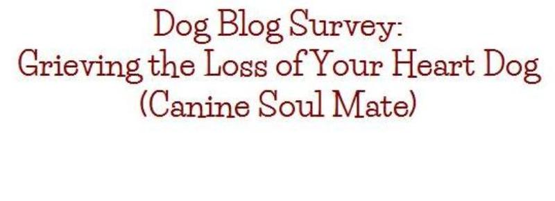 dog blog champion of my heart dog grief survey graphic