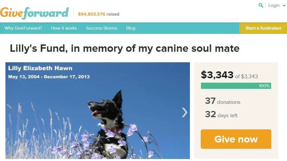 Lilly's Fund reaches 100% of fundraising goal