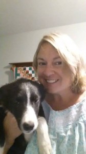 border collie puppy, dog blog, champion of my heart