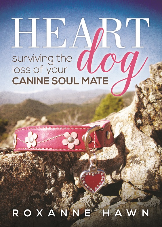 copyright roxanne hawn, champion of my heart, book cover