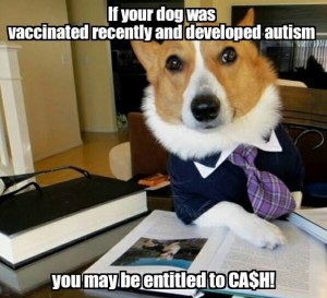 adverse vaccine reactions in dogs