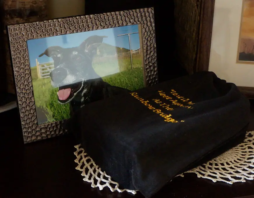 creative urns for dog ashes - memorial shelf