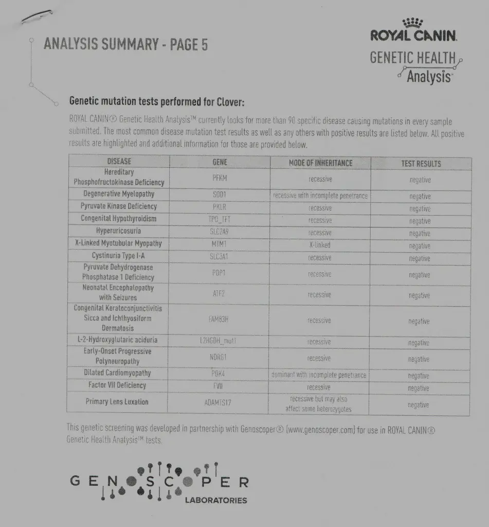 canine genetic health testing