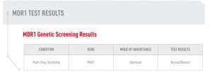 dog blog champion of my heart canine genetic test results MRD1 status graphic