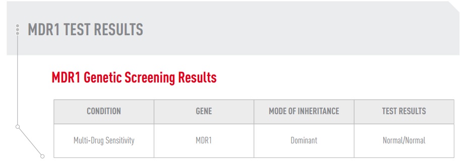 dog blog champion of my heart canine genetic test results MRD1 status graphic