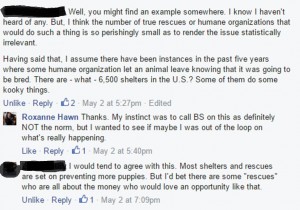 dog blog champion of my heart dog adoption discussion as graphic