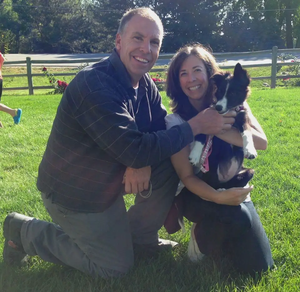 border collie puppy at puppy class, copyright champion of my heart / roxanne hawn