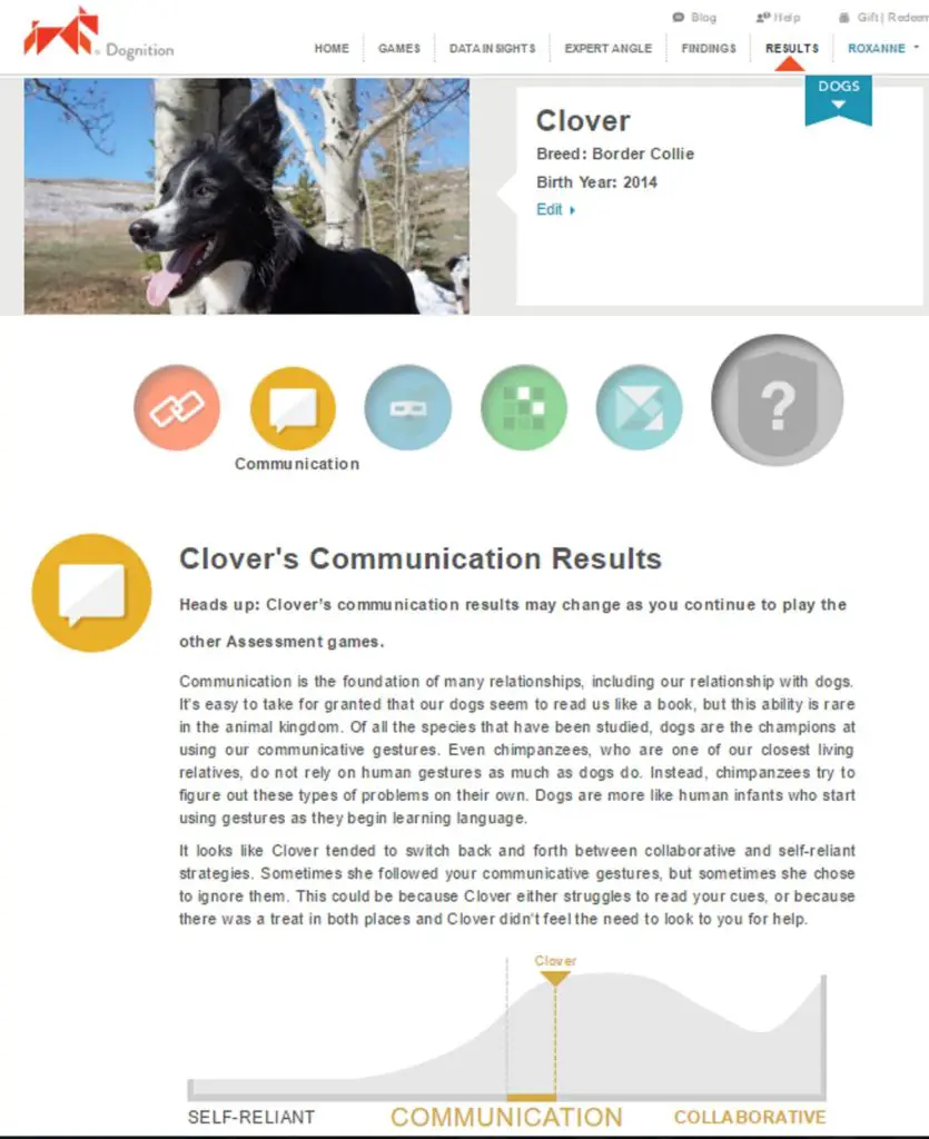 clover dognition communication game results