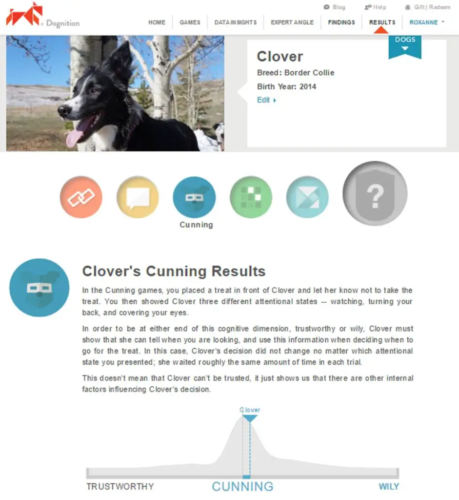 clover dognition cunning game results