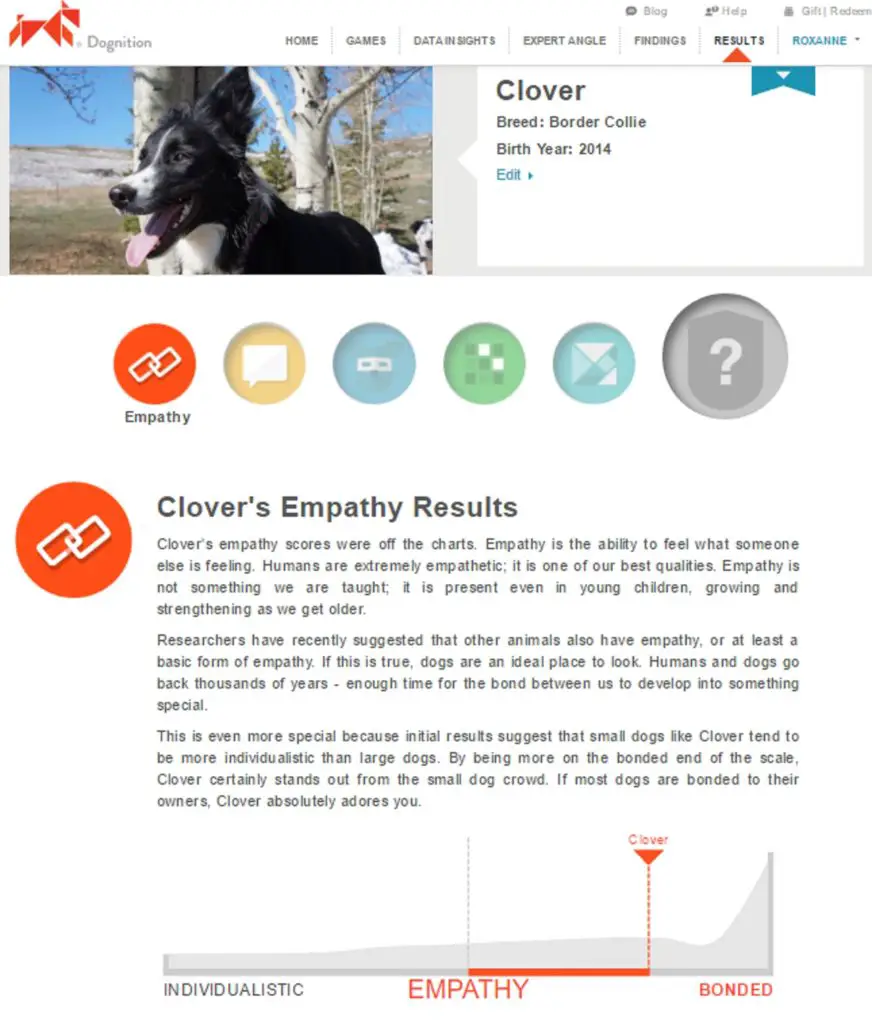 dognition empathy game results for clover from champion of my heart