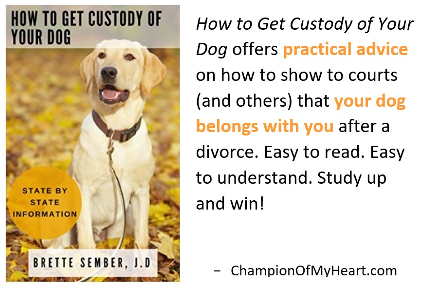 book review how to get custody of your dog graphic