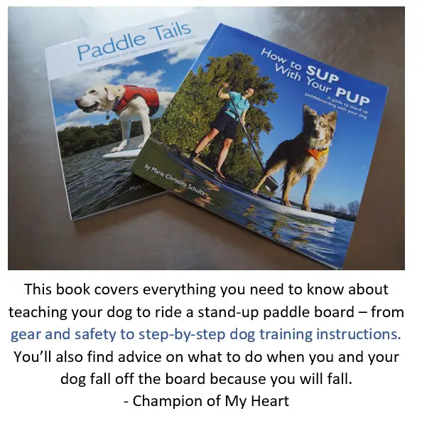 stand-up paddleboarding with your dog